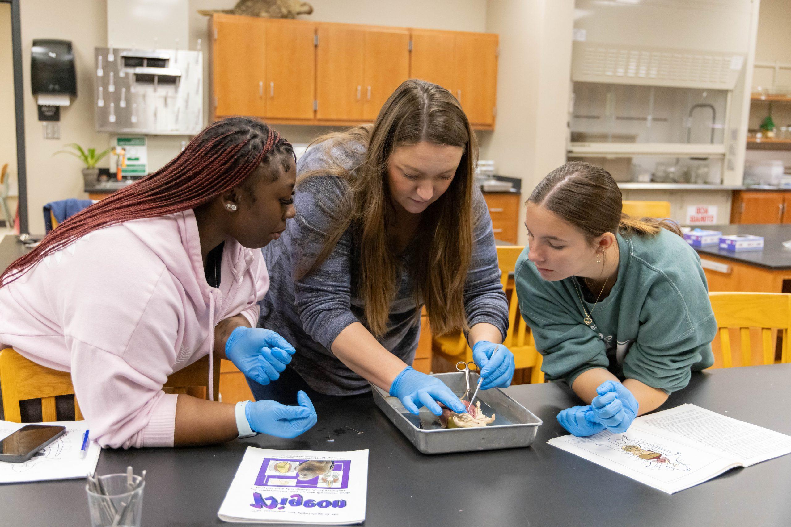 Three students in a science lab wearing blue gloves and focusing on a dissection activity. The middle students is using the dissection tools while the other two observe closely.